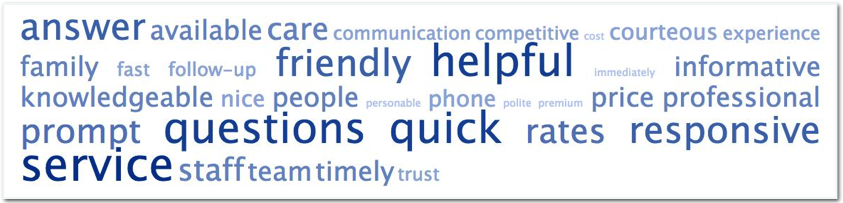 Wordcloud of promoter responses